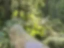 Me ass