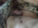 Sperm–50tk