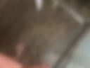 my dick