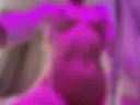 #3