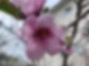 For you!!!