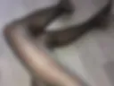 Legs in tights