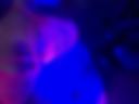 Body Neon