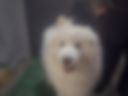 123
