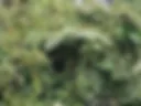 Enjoing nature