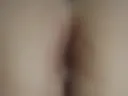 Pussy