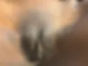 Live Pussy from Vanessa
