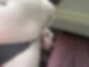 album31