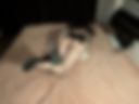 kitty