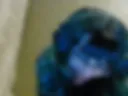 CreepyCute