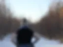 In the forest in winter 