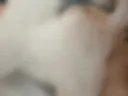 Tits in the bath
