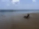 Beach3