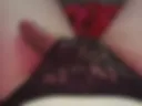 Member in panties