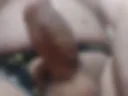 Naked dick / Naked member