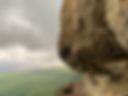 with a face