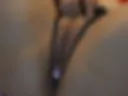 NAKED PUSSY