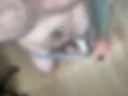 123
