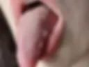 Language