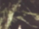 Touched the grass