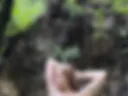 tits naked in the woods