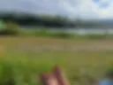 My feet
