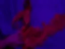 Album 19