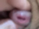 konfetka l