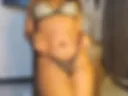 sexi girl