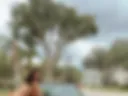 Bikini Car Wash
