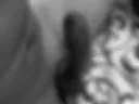 My Photos )