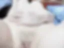 See my pussy