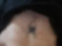 I warmed the spider on my chest