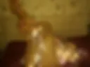 Pussy and christmas lights
