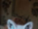 +