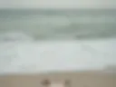Caesar and the Sea.