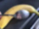 Dick