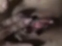 #3 pussy 🐈 