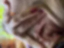 Outdoor pussy grr ❤️