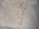 Dirty panties