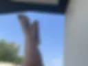 Legs