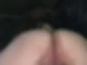 Pussy