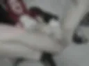 wet pussy