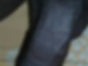 Lsv