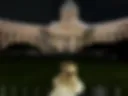 )*