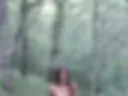 in the forest
