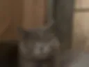 Бусинка