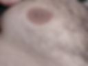 eee1