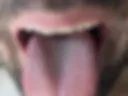 Me