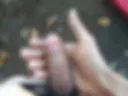 Stella hard cock 11